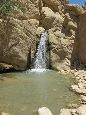 k-IMG_1531.jpg