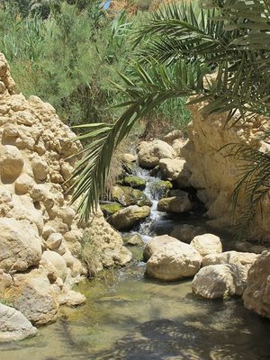 k-IMG_1535.jpg