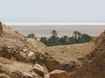 k-IMG_1539.jpg