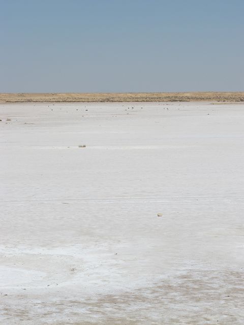 k-IMG_1564.jpg