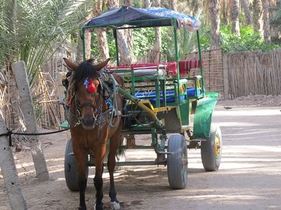 k-IMG_1663.jpg
