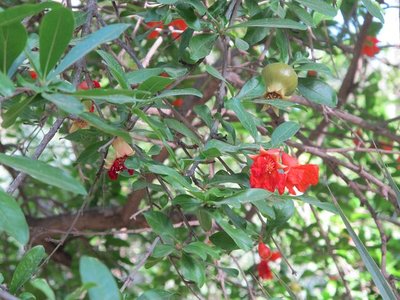 k-IMG_1667.jpg