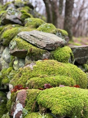 E133B69C-844F-4AA6-B26C-295F4CEFD317.jpeg
