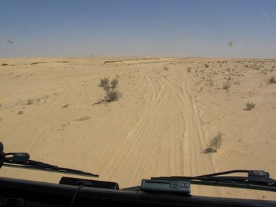 k-IMG_1832.jpg