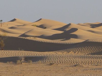 k-IMG_1863.jpg