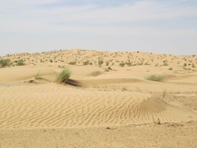 k-IMG_1908.jpg