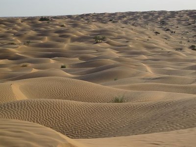 k-IMG_1947.jpg