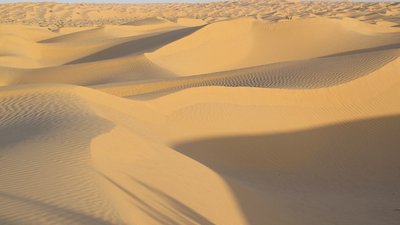 k-IMG_1969.jpg