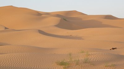 k-IMG_1974.jpg