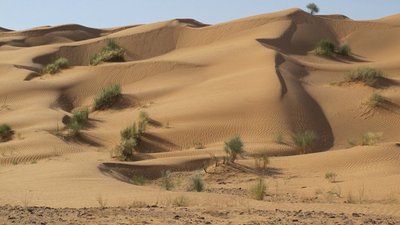 k-IMG_1983.jpg