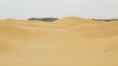 k-IMG_2000.jpg