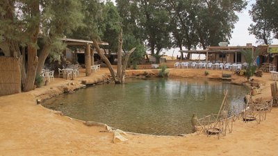 k-IMG_2011.jpg