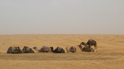 k-IMG_2015.jpg