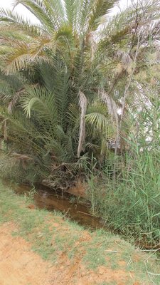 k-IMG_2020.jpg