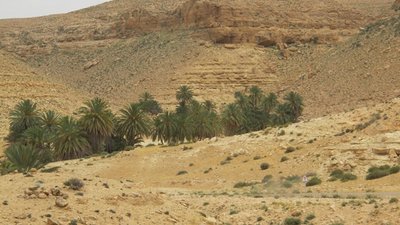 k-IMG_2039.jpg
