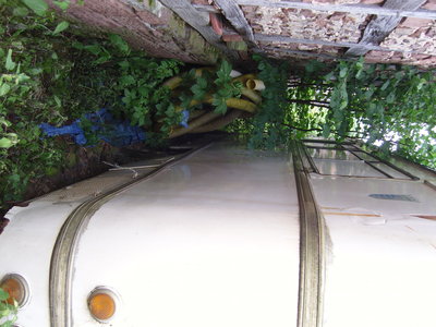 SNC10275.JPG