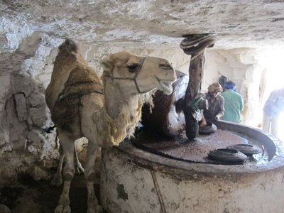 k-IMG_2140.jpg