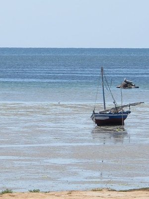 k-IMG_2532.jpg