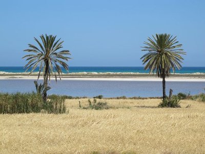 k-IMG_2659.jpg