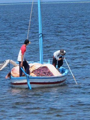 k-IMG_2662.jpg