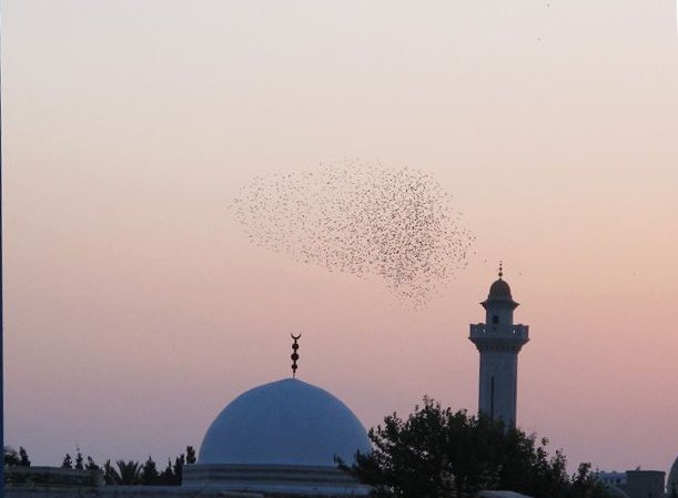 k-IMG_2676_1.jpg