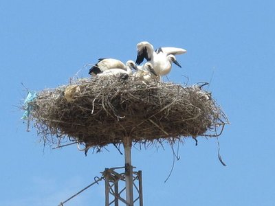 k-IMG_2717.jpg