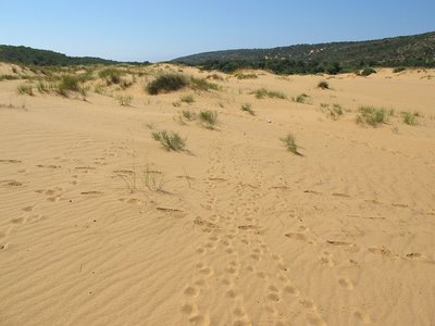 k-IMG_2754.jpg