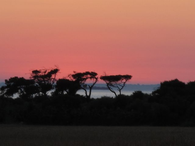 k-IMG_2770.jpg
