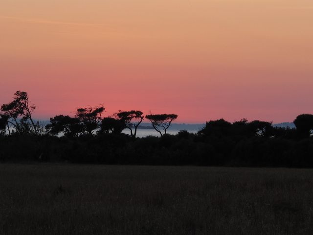 k-IMG_2772.jpg