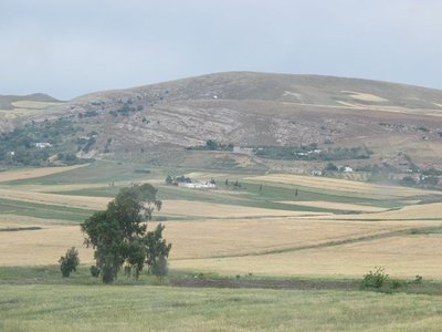 k-IMG_2788.jpg