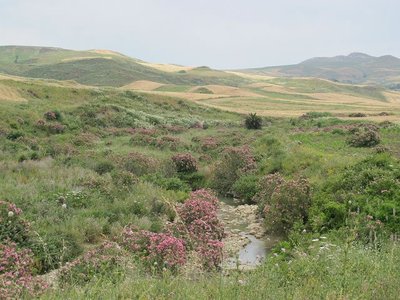 k-IMG_2790.jpg