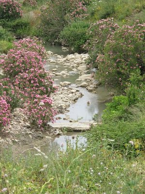 k-IMG_2791.jpg