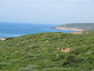 k-IMG_2797.jpg