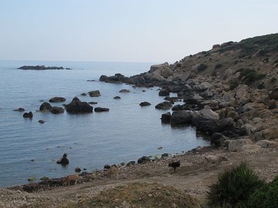 k-IMG_2809.JPG