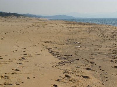 k-IMG_2846.JPG